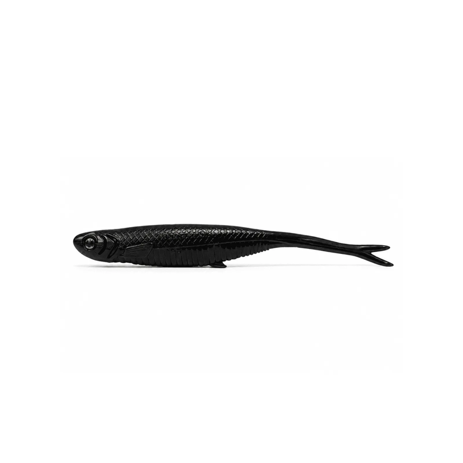 Shad Big Amazon
